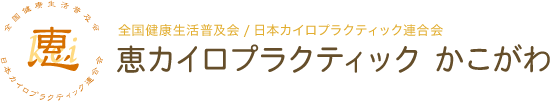 恵カイロプラクティックかこがわ